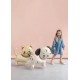Party Deco - Balon maca Party Deco - Balon maca