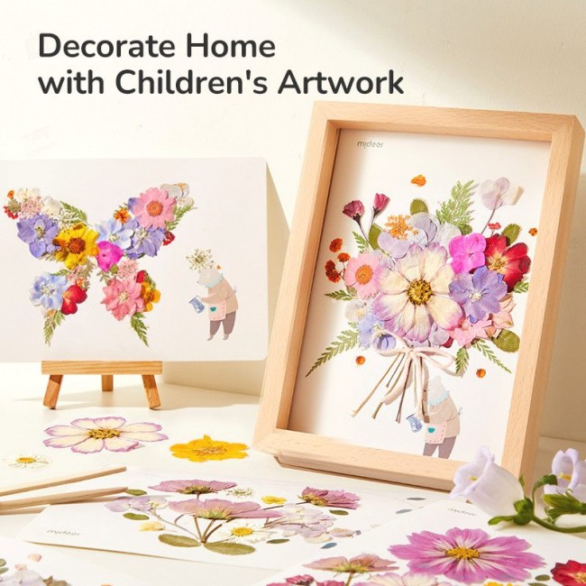 Mideer - Kreativni set Herbarijum Mideer - Kreativni set Herbarijum