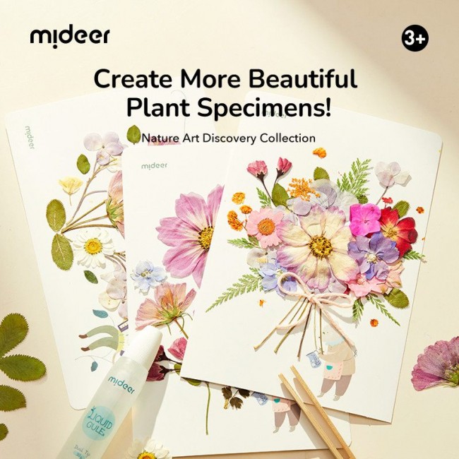 Mideer - Kreativni set Herbarijum Mideer - Kreativni set Herbarijum
