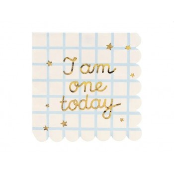 Party Deco - Salvete prvi rođendan